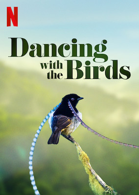 Dancing with the Birds